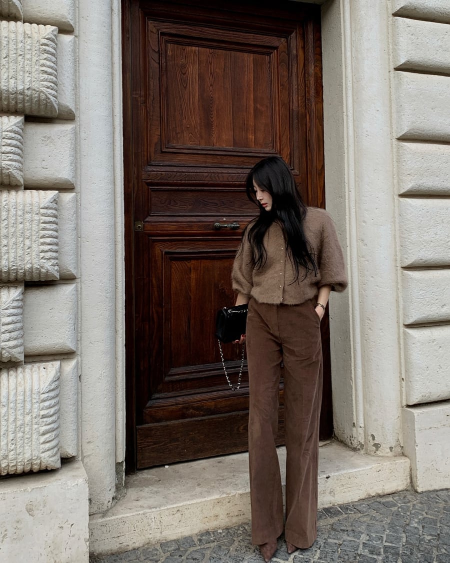 Trong những năm gần đây, màu nâu dần trở lại và chiếm được cảm tình của giới mộ điệu. 