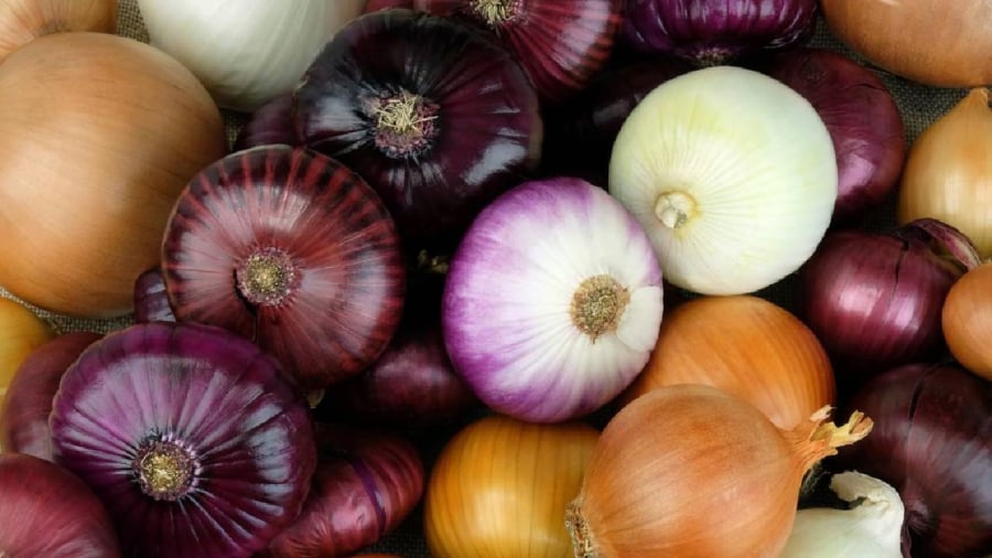 Hành tây chứa các tinh dầu tự nhiên có tác dụng chống lại sâu bệnh.