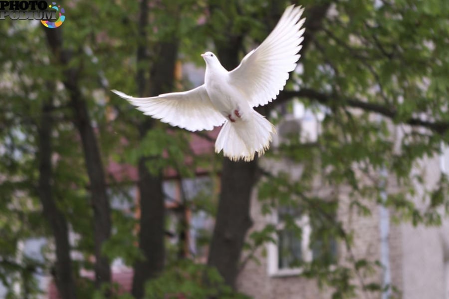 Làm việc tốt nhưng luôn so sánh, kể lể thì phước không tụ được