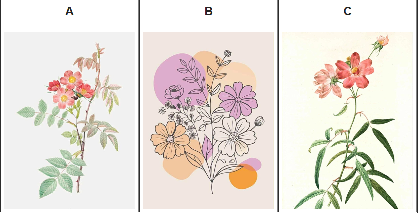 Hãy chọn 1 bông hoa nhé!