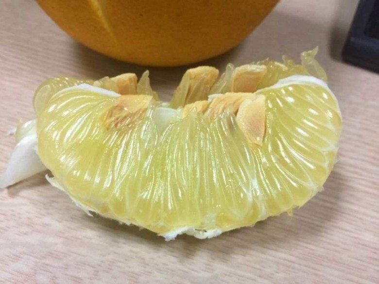 Khi mang bưởi về, nên để nơi khô ráo, thoáng mát, tránh ánh nắng trực tiếp để giữ được hương vị tốt nhất.    