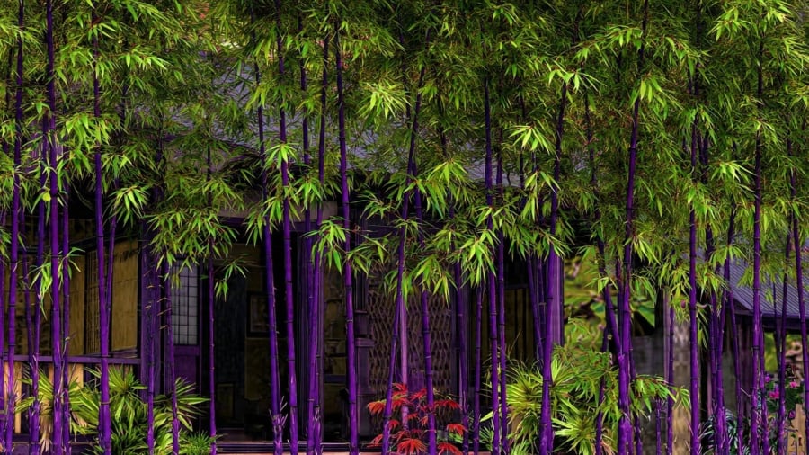 90-17672527484301180231131-1767327888945-1767327889201172644607