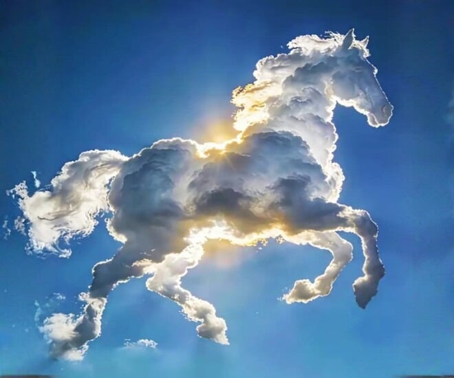 Hãy chọn hình ảnh đầu tiên bạn thấy nhé!