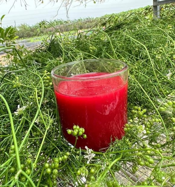 Củ dền khi nấu nước có màu đỏ, màu sắc vốn tượng trưng cho sự may mắn, rất phù hợp để sử dụng trong những ngày đầu năm.    