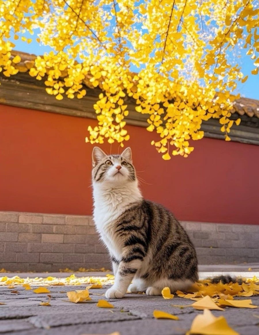 Tuổi Mão có thể gặp cơ hội việc phụ nhưng lại chính là nguồn thu tốt sau này