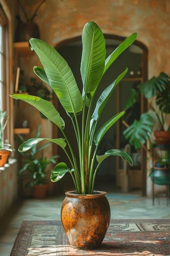 Một biểu hiện dễ bị bỏ qua là cây nhìn bề ngoài vẫn xanh tốt, lá ít rụng, nhưng phần gốc luôn ẩm ướt, đất lâu khô và xuất hiện mùi khó chịu, kể cả trong điều kiện thời tiết khô ráo. 