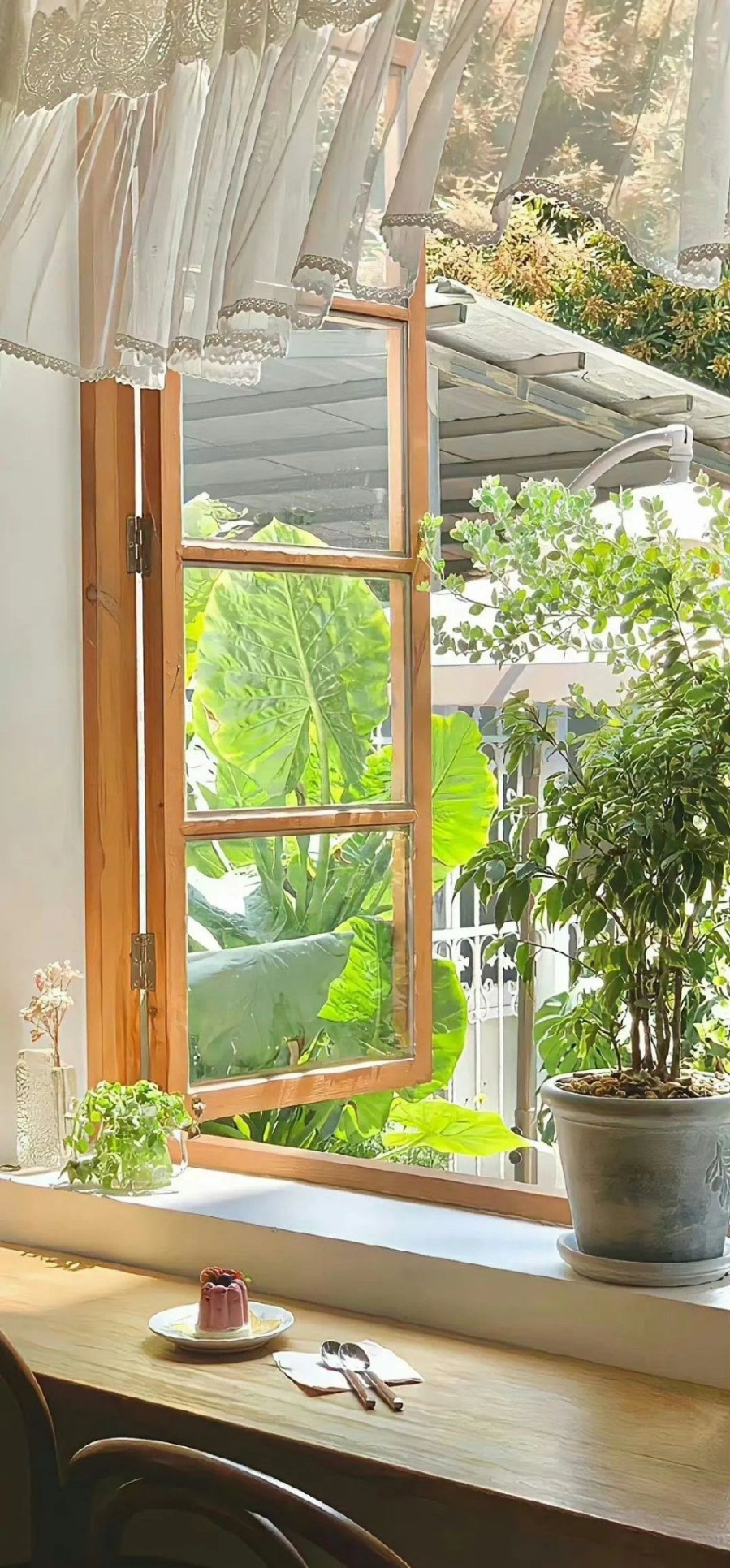 Cửa sổ là nơi thích hợp trồng cây cảnh