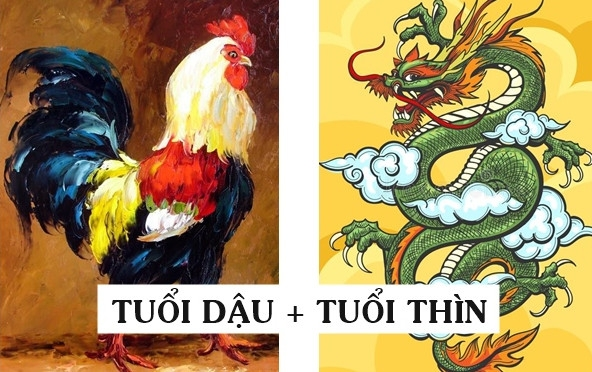Tuổi Thìn mang khí chất lãnh đạo, tư duy rộng và khát vọng lớn. Tuổi Dậu lại tỉ mỉ, cẩn thận, giỏi tính toán và quản lý. Khi đứng riêng, mỗi người đều có thế mạnh riêng, nhưng khi đi cùng nhau, họ tạo ra “cặp đôi hút lộc” đúng nghĩa.