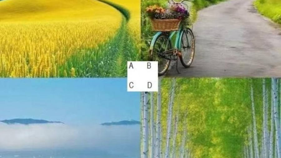 Chọn 1 con đường bạn muốn đi nhé!