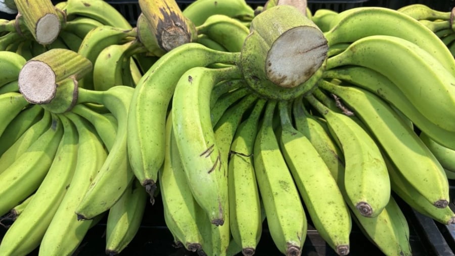 Chuối xanh mang lại nhiều lợi ích cho sức khỏe nhưng không phải ai cũng nên ăn.