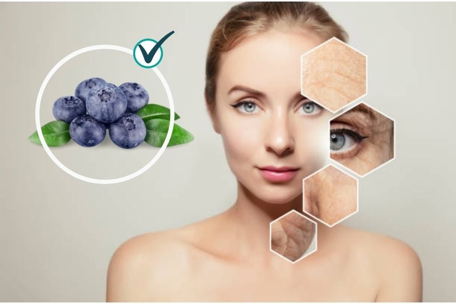 Việt quất được xem là một trong những loại quả giàu anthocyanin nhất.