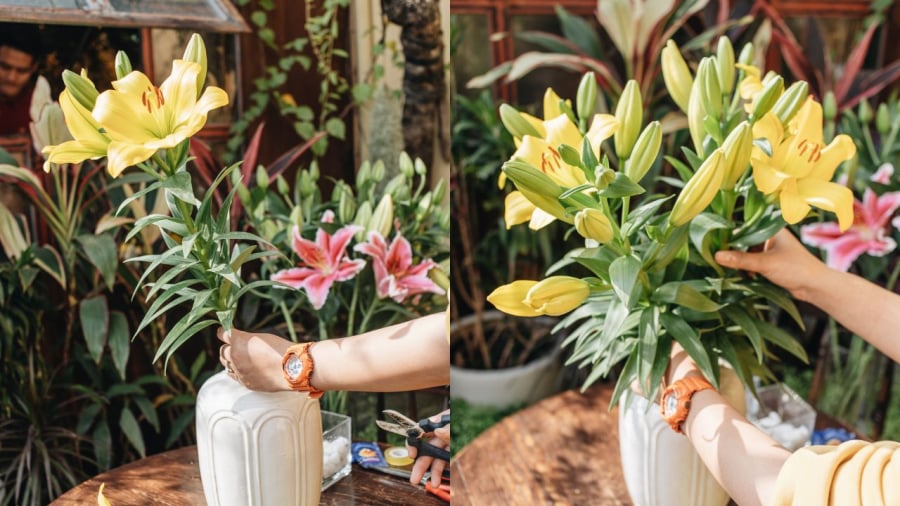 Mỗi loại hoa cần một loại nước cắm riêng. Chẳng hạn như hoa ly nên cắm trong nước có pha đường và giấm.