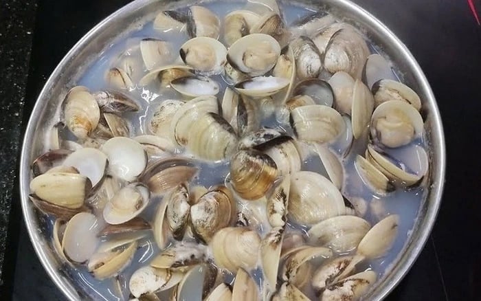 Trước khi chế biến, ngao cần được ngâm để nhả sạch cát. Tuy nhiên, nhiều người ngâm quá lâu hoặc cho muối quá mặn, khiến ngao mất nước, thịt bở và kém ngọt.