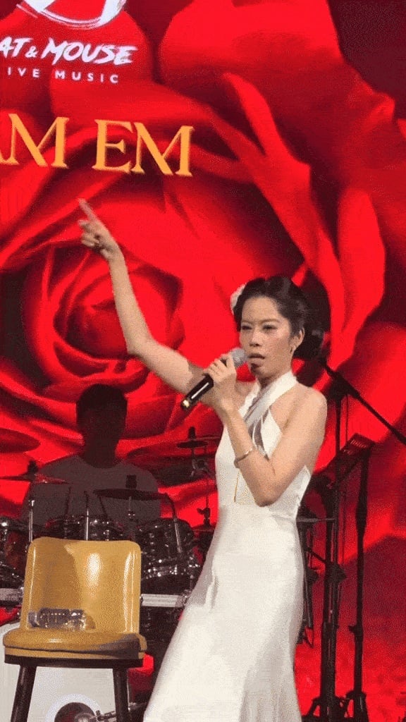 Nam Em gây tranh cãi dữ dội với động tác trình diễn khi đi hát  