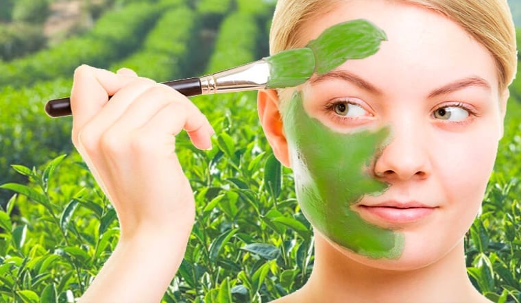 Thành phần nổi bật nhất trong trà xanh là catechin, thuộc nhóm polyphenol có khả năng trung hòa gốc tự do.