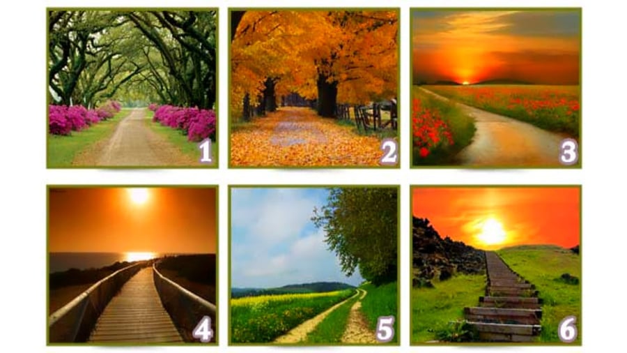 Chọn một con đường cho biết tương lai bạn sẽ thành công hay không?