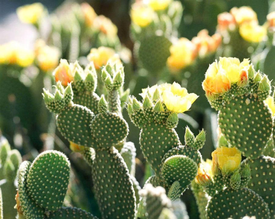 z7406552678239_9452d913d9f98d163b0b41f9fb5f7bc7