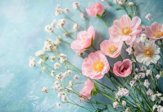 z7410369740009_e7a5d2a4f226a0597e2265ca92cc6db0