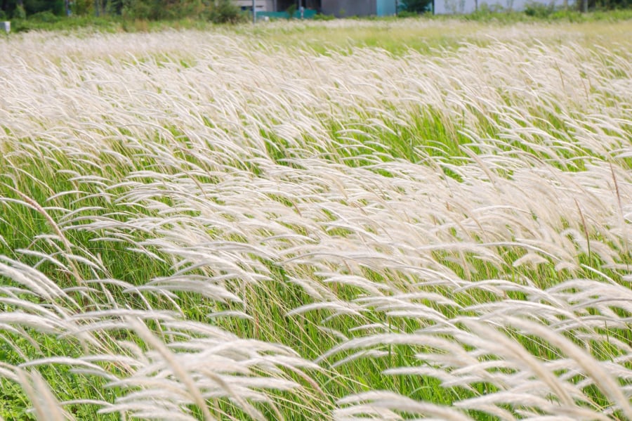 Hãy chọn điều làm bạn sợ hãi nhất nhé!