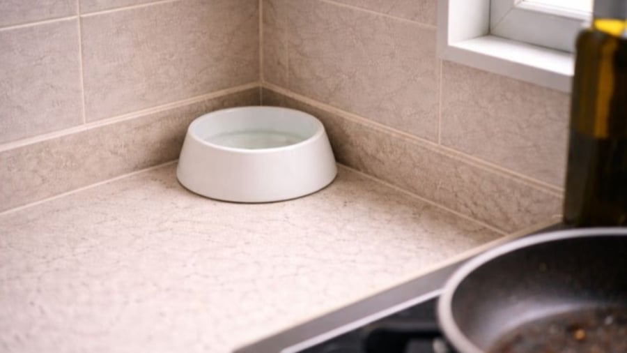 Bạn chỉ cần đặt một bát nước sạch ở góc bếp để khử mùi dầu mỡ.