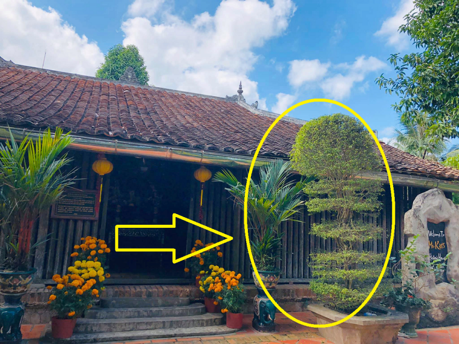 Nhà có dấu hiệu giàu có