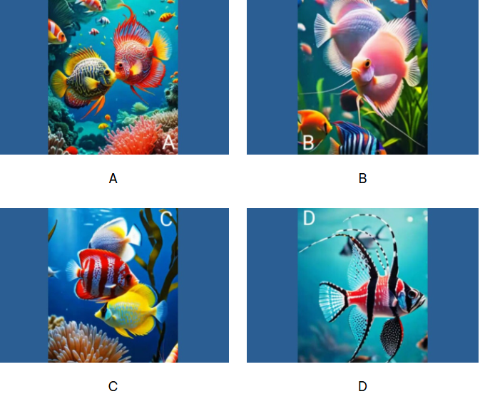 Hãy chọn 1 con cá nhé!