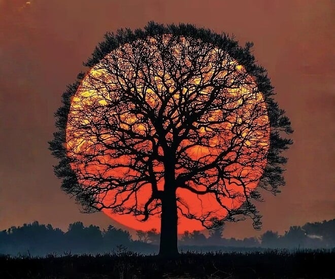 Hãy chọn hình ảnh bạn nhìn thấy đầu tiên nhé!