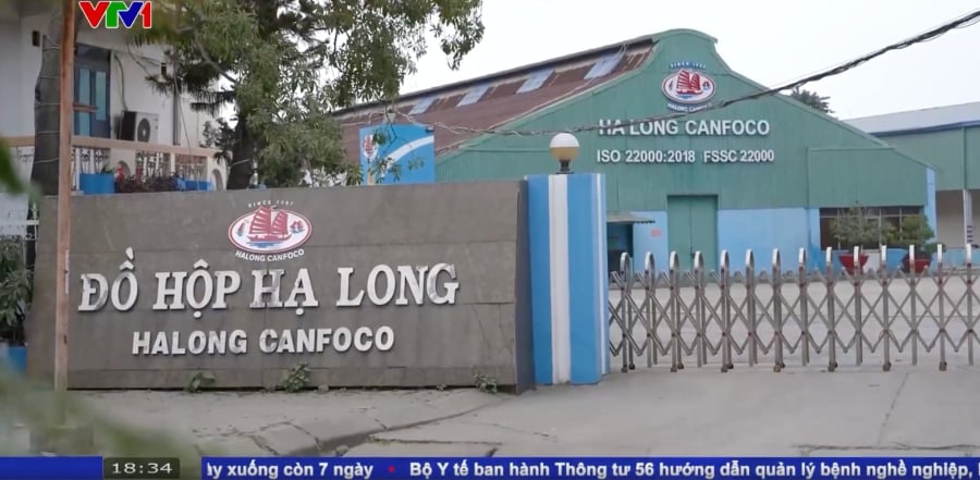 Halong Canfoco nhấn mạnh đội ngũ cán bộ, công nhân viên của công ty đều sinh sống, gắn bó lâu năm với địa phương Hải Phòng và làm việc trong doanh nghiệp có bề dày lịch sử trong ngành chế biến thực phẩm.