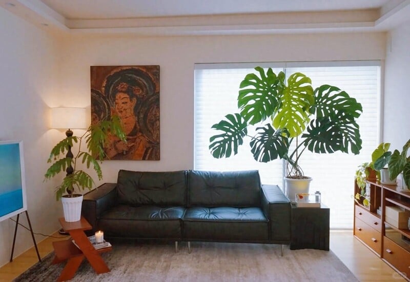 1-1734273656-834-width800height550