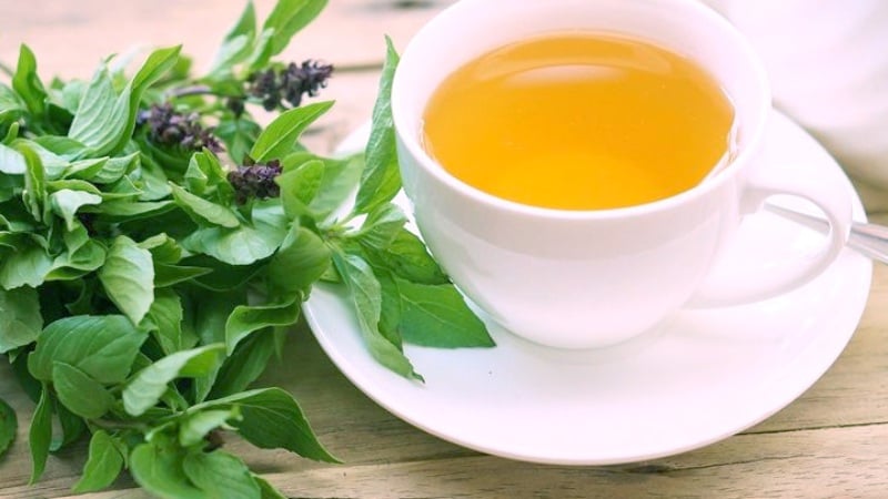 Uống nước lá quế cơ thể nhận được tác dụng gì?