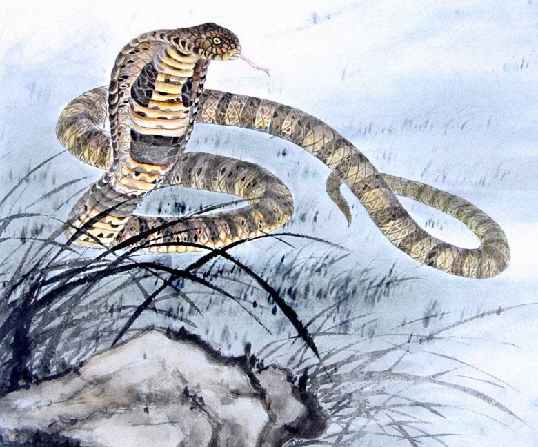 Tuổi Tỵ là con giáp không bao giờ để người khác nhìn thấu mình. 