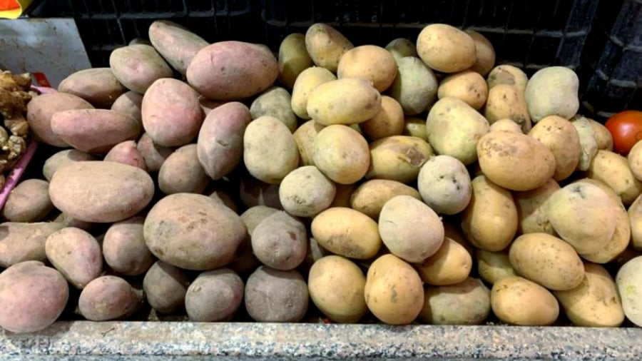 Bạn có thể quan sát hình dáng, màu sắc để phân biệt khoai tây bở và khoai tây giòn.