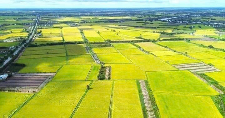 z7442513137871_2c82b1b492a3aad758b0eb0859b027d0