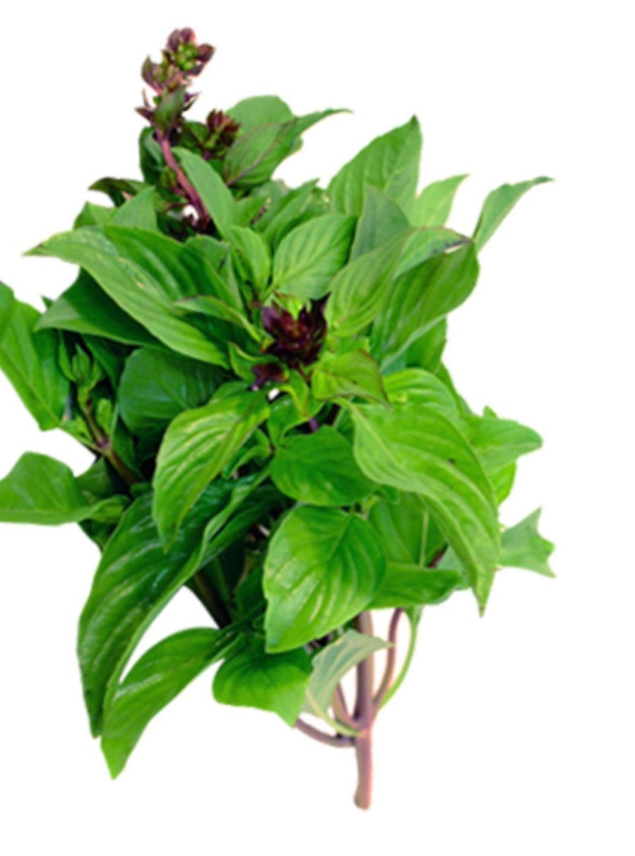 Dùng húng quế trong các bữa ăn không chỉ là gia vị mà còn giúp nâng cao sức khoẻ