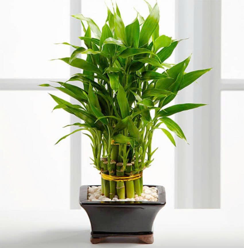 z7446864071225_df685cf59db6a9e7731b6d8ea8af3cef