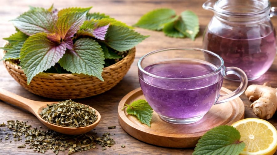 Nước tía tô có nhiều công dụng nhưng cần chú ý thời điểm uống