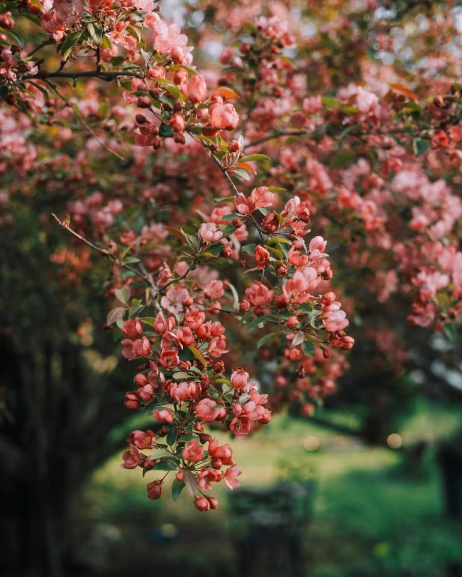 617563630_912829777974001_8894434548320737765_n