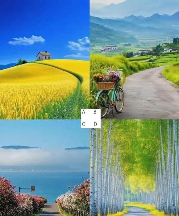 Hãy chọn 1 bức tranh nhé!