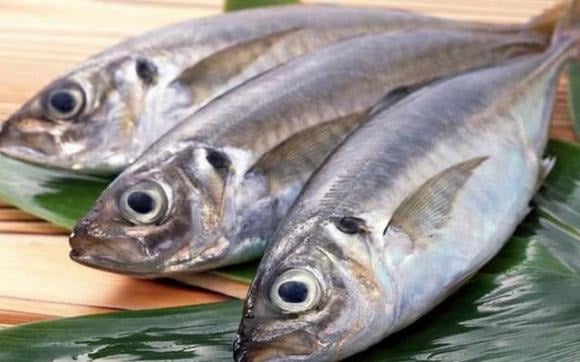 Cá biển thường cung cấp năng lượng cao hơn cá nước ngọt. 