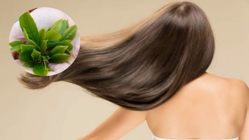 Sự kết hợp này không chỉ giúp tóc mềm mượt mà còn mang lại cảm giác dễ chịu khi gội đầu vào mùa lạnh.