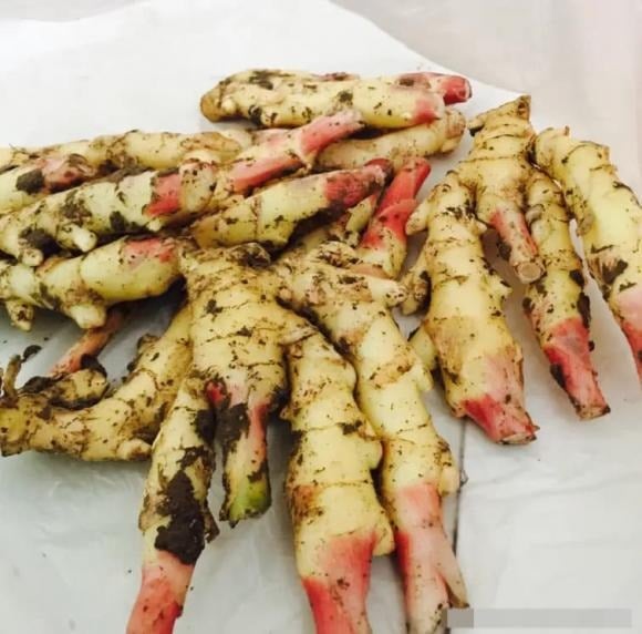 Chuẩn bị gừng tươi cùng một ít muối, đường phèn, giấm và rượu ngũ cốc (có thể dùng rượu gạo hoặc rượu trắng).    