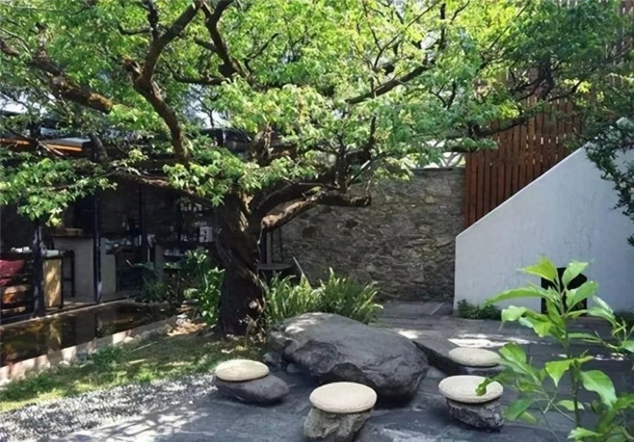 Theo phong thủy, cửa chính là nơi nạp khí, mọi dòng năng lượng tốt – xấu đều đi qua đây. Cây trồng trước cửa giống như “người gác cổng”, nếu mang năng lượng tích cực sẽ giúp giữ lộc, đón may. Ngược lại, cây mang tính âm hoặc sát khí mạnh sẽ cản trở phúc khí, khiến vận may khó vào nhà.    