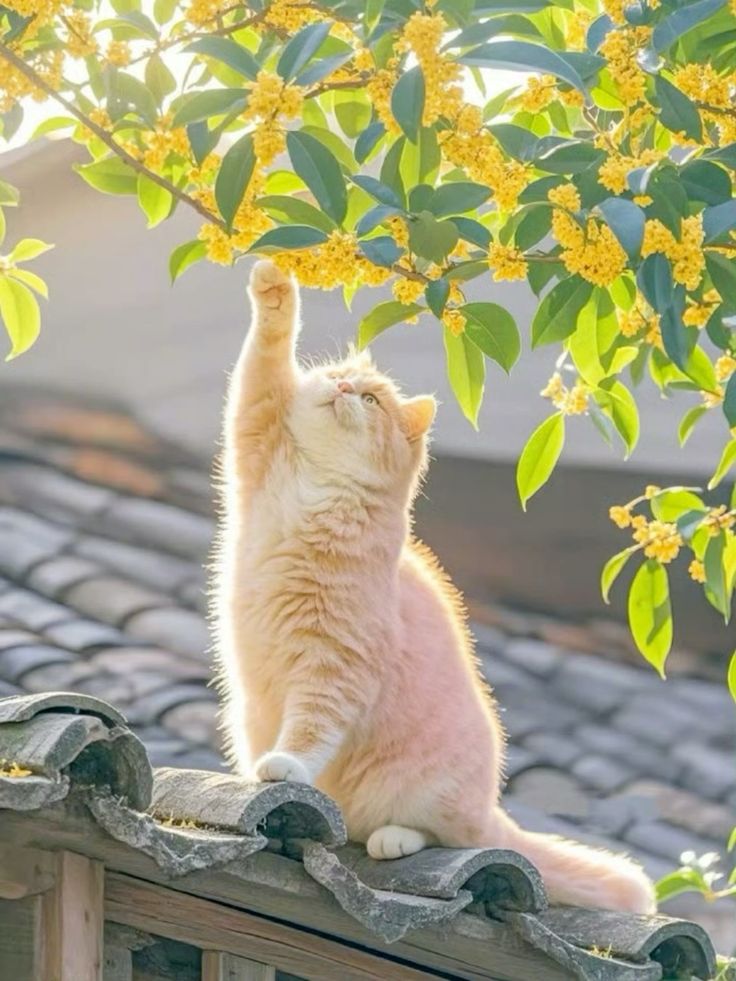 Mão có thể nhận được sự động viên mạnh mẽ từ người thân