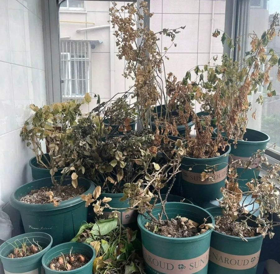 z7463221449865_0419f33599897f7d236006f971a8b040