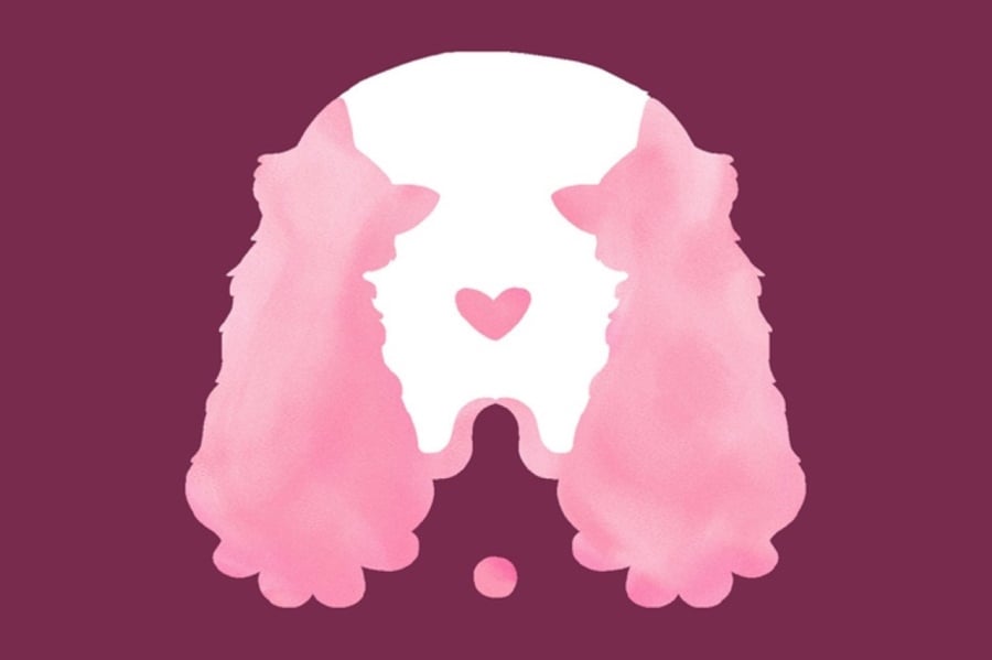 Bạn nhìn thấy 2 con gì?