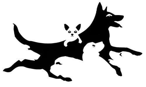 Hãy chọn xem bạn nhìn thấy mấy con vật nhé!