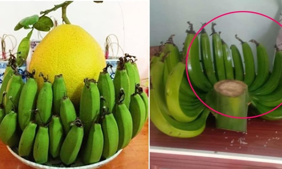 Có nên ghép 2 nải chuối để thắp hương cúng Tổ Tiên không?