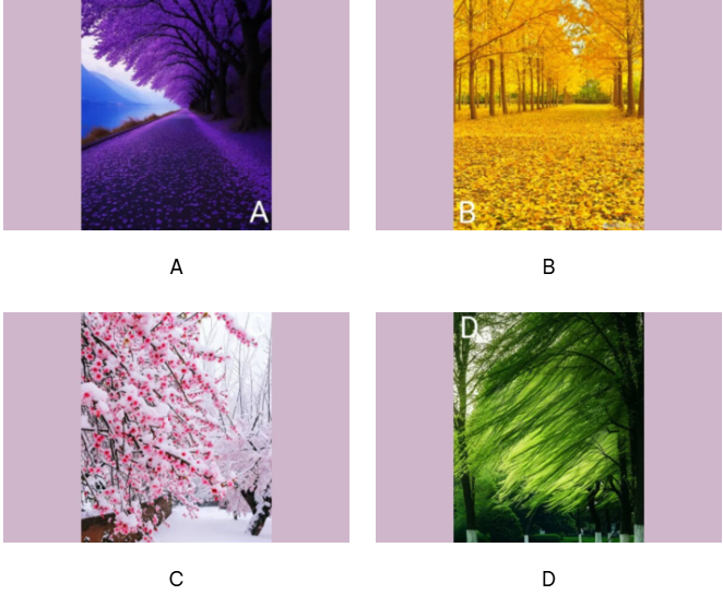 Hãy chọn 1 phong cảnh nhé!