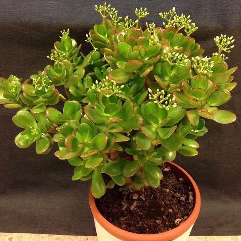 z7473515204020_6834acc674e8afba8c947022da1cda8e