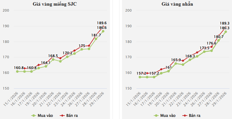 Sáng 30/1, giá vàng trong nước biến động rất mạnh theo chiều giảm sâu rồi bật tăng trở lại.